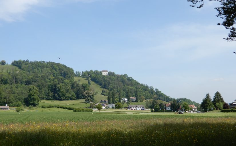 Blick auf das Schloss Brunegg