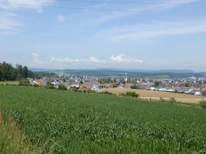 Ausblick auf Birr und Lupfig