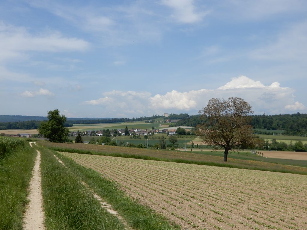 Scherz und Schloss Habsburg