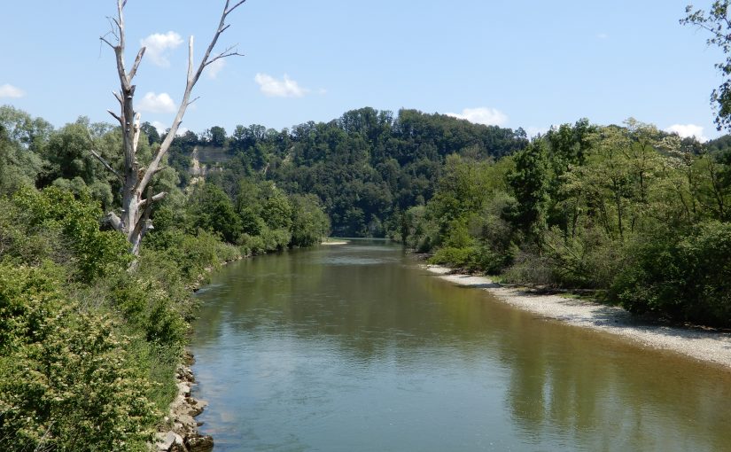 Blick vom Saanesteg zur Mündung