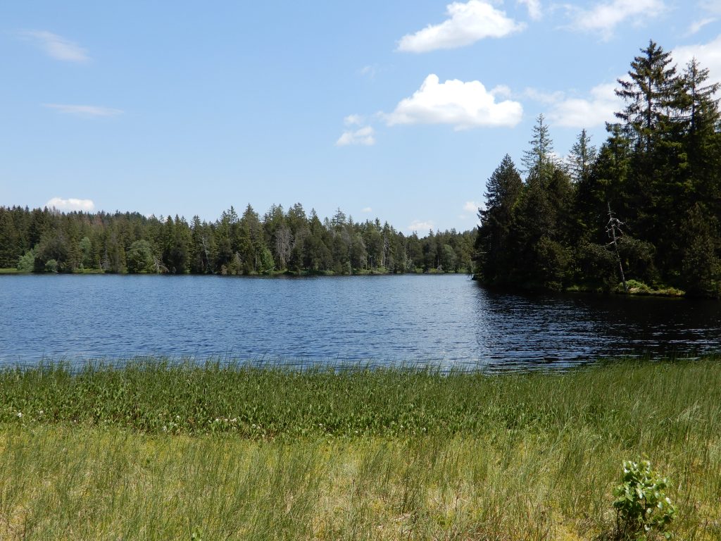 Etang de la Gruère