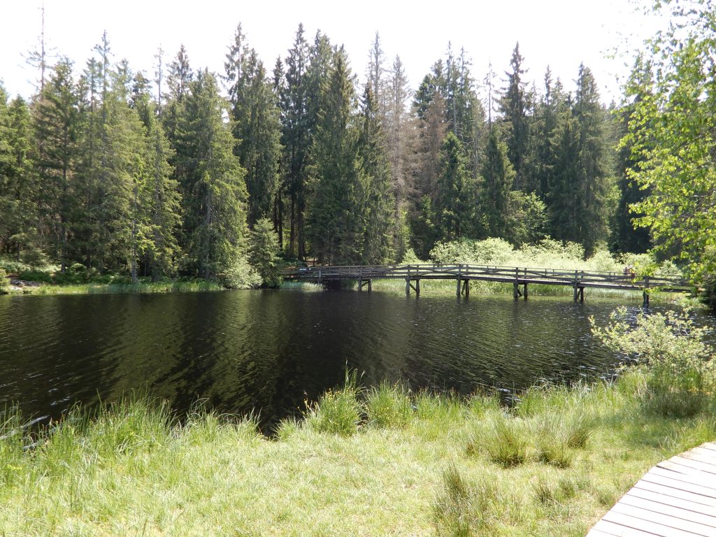 Etang de la Gruère