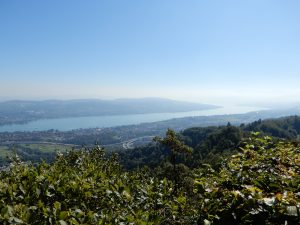 Ausblick auf den Zürichsee