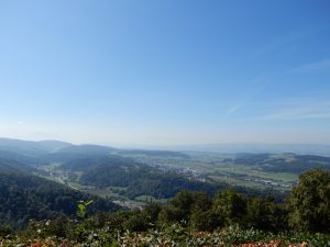 Ausblick ins Knonaueramt