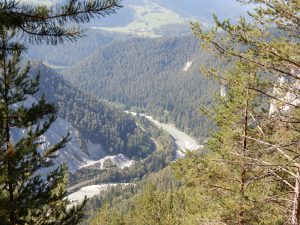 Erster Blick in die Rheinschlucht