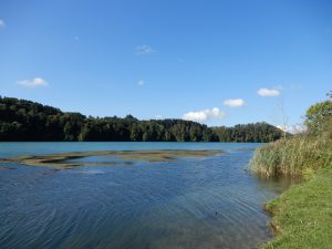 Wohlensee