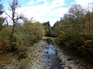 An der Sihl bei Dreiwässern