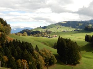 Ausblick auf St. Meinrad