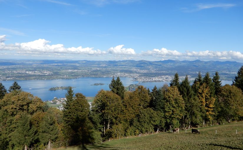 Ausblick vom Etzel