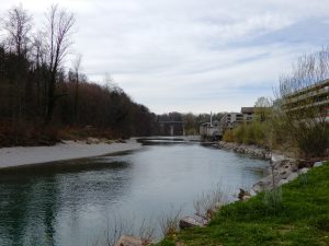 Aare bei Worblaufen