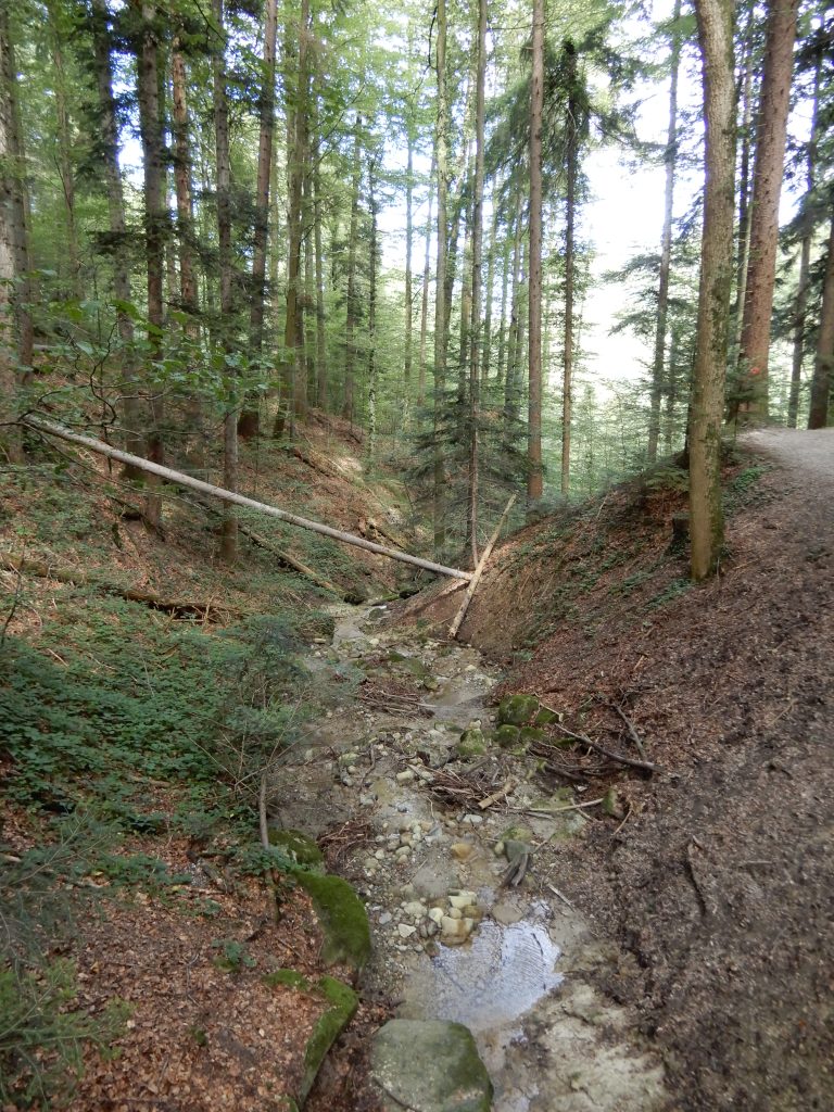 Zufluss zum Klusbach