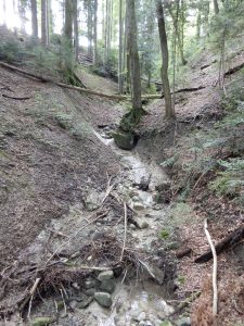Zufluss zum Klusbach