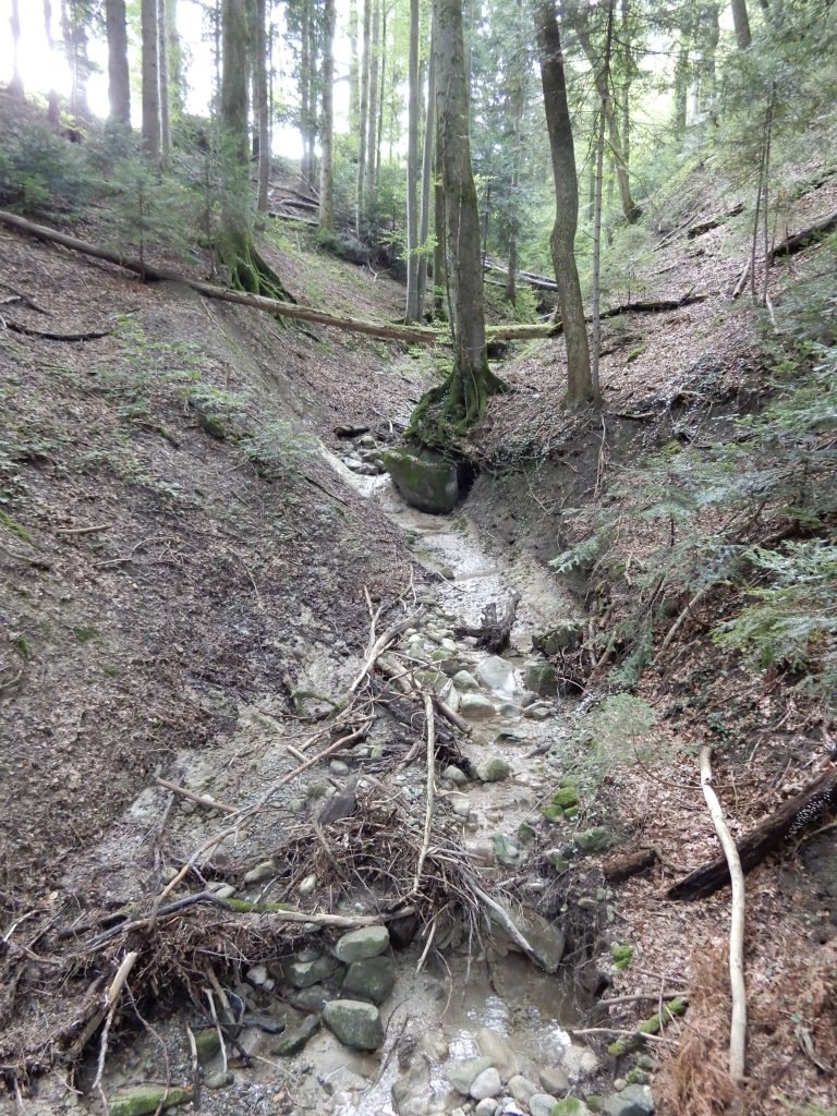Rechter Seine Zufluss Mit 5 Buchstaben Zufluss zum Klusbach - Blog @ juergs.ch