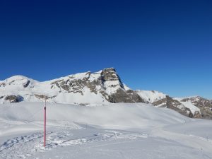 Unterwegs mit dem Haupt