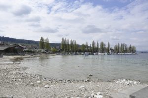 Der Hafen von Steckborn