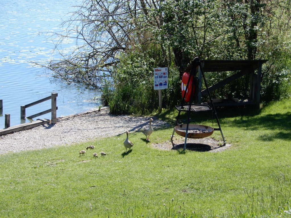 Badeplatz am Nussbommersee