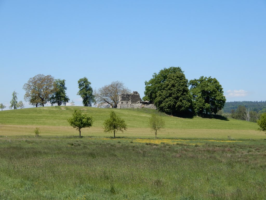 Burgruine Helfenberg