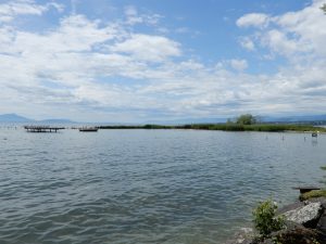 Ile aux oiseaux