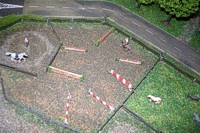 Unterdessen sind die ersten Pferde schon auf der Koppel. Unterdessen sind die ersten Pferde schon auf der Koppel.